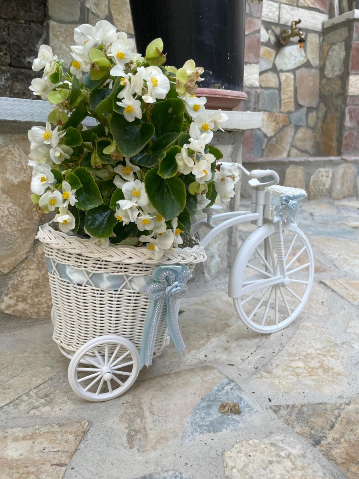 Luigi Guest House Gjirokastër Екстериор снимка