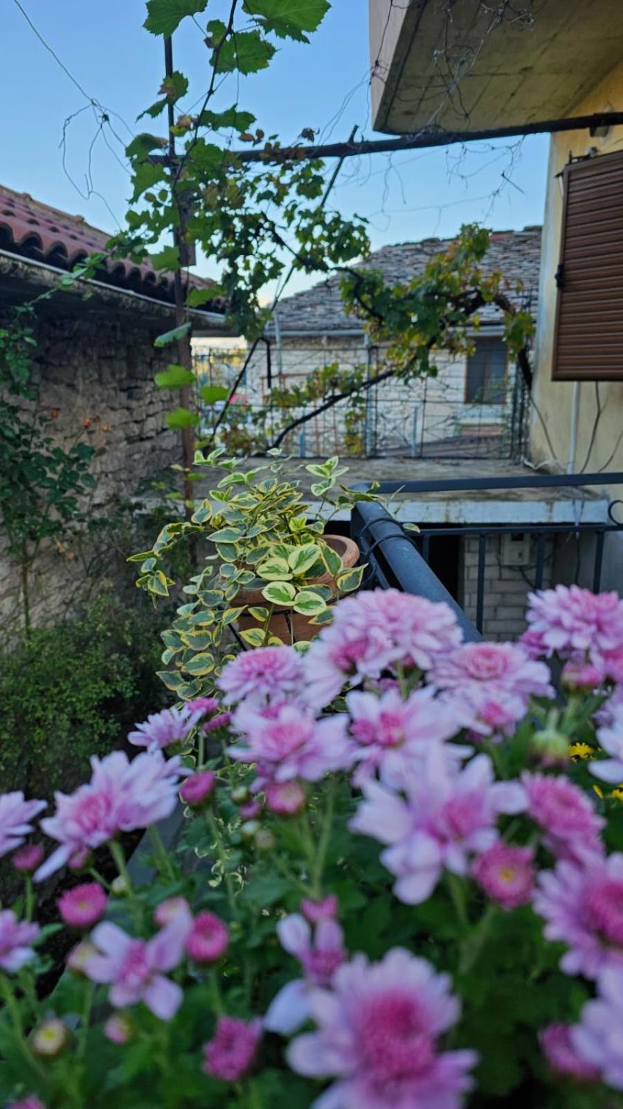 Luigi Guest House Gjirokastër Екстериор снимка